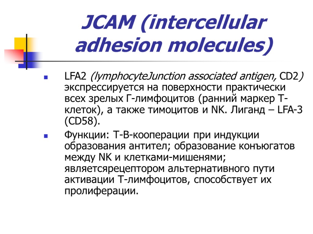 JCAM (intercellular adhesion molecules) LFA2 (lymphocyteJunction associated antigen, CD2) экспрессируется на поверхности практически всех
